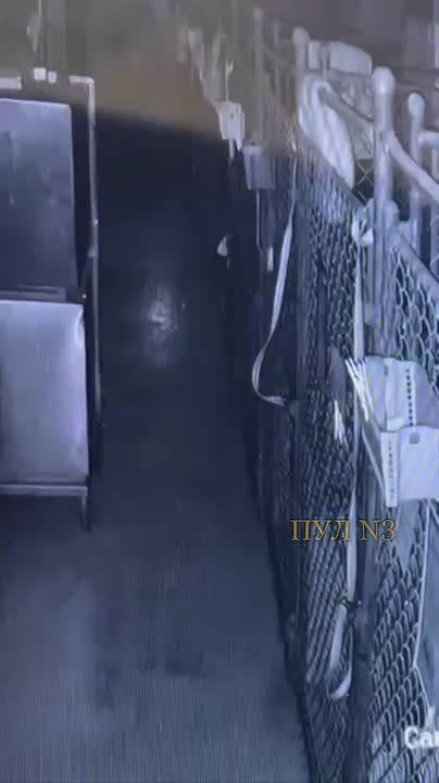 #���������������: ��������� �����