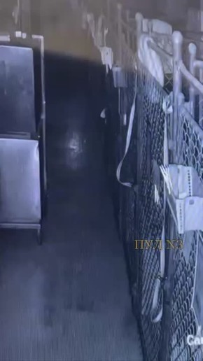 #���������������: ��������� �����