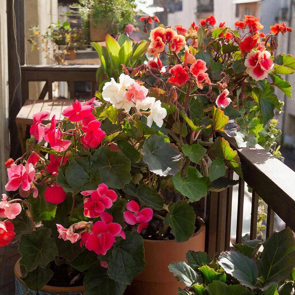 #тускартуан. Тохсунньуттан, олунньуттан саалаан ханнык нээйини олордобутуй? Уун сынньаланар кэннилэриттэн лэбитигэр киирдибит #тускартуан. Тохсунньуттан, олунньуттан саалаан ханнык нээйини олордобутуй? Уун сынньаланар кэннилэриттэн лэбитигэр киирдибит