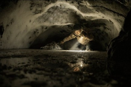 ������� ��������� ��������� ������� ���������� ������� �� ���������� �������������