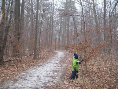 ����������� ���� �����: ��� ����� �������� ����� �������� ���� �����