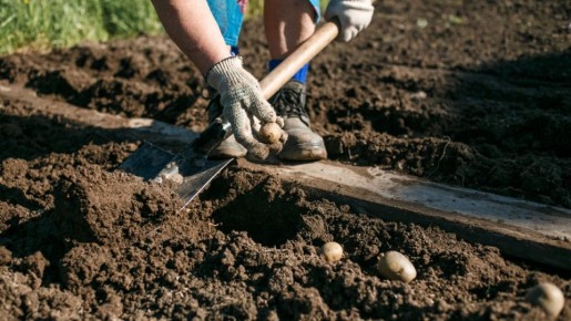 ���-5 ����������� ������� ������� ���������, ������� �������� ����������� �����