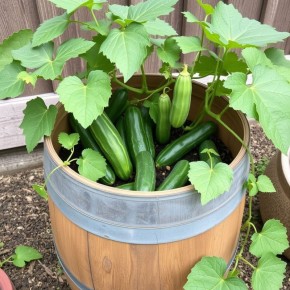 ��� ��������� ������ � ����� � �������� �������� ������