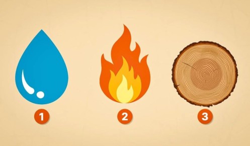 ���� �� ��������: ����� ������� �������� ���� �������� ������?