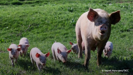 � ������ ��������� ������� ����������� ���������������� ������, ��������� ��� ��������� ������� ��������, � 2030 ����