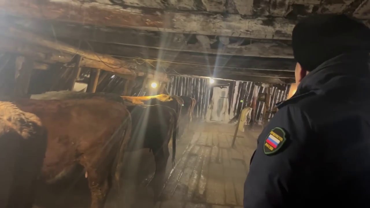 В Якутии прокуратура направила в суд уголовное дело об использовании рабского труда