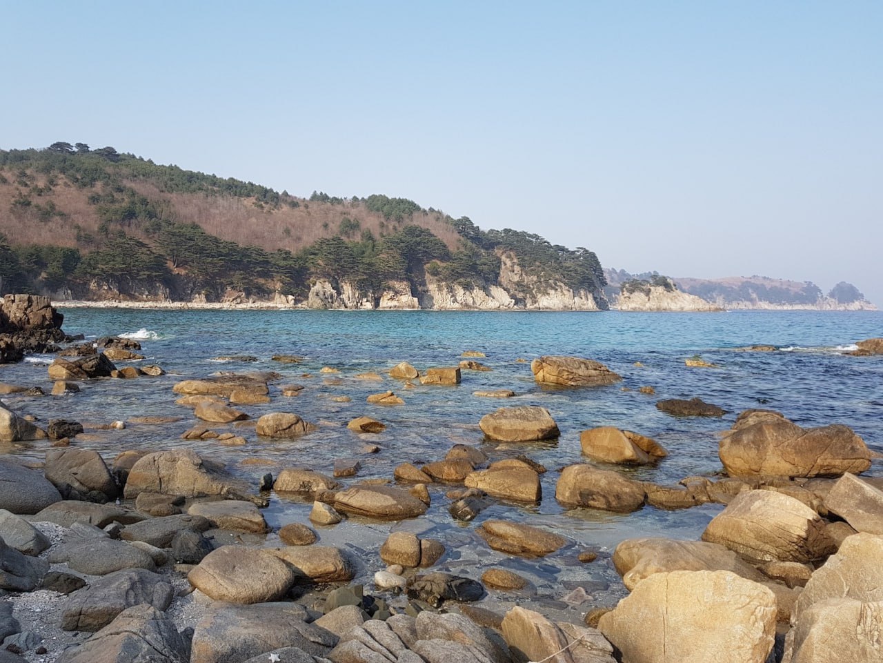 Представляем новые проекты, которые успешно реализованы либо стартуют на Дальнем Востоке и в Арктике с господдержкой при участии Минвостокразвития России #нашипроекты Представляем новые проекты, которые успешно реализованы либо стартуют на Дальнем Востоке и в Арктике с господдержкой при участии Минвостокразвития России #нашипроекты