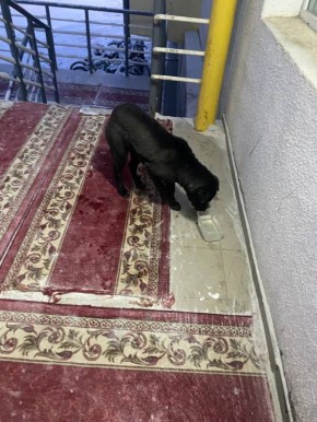 ������ ��� �����/������ ������ ��� ����������