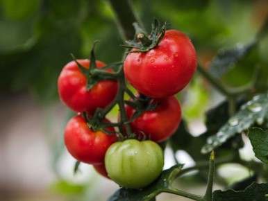 ��� ������ ������ � ������ ����: ������� �������� ���������