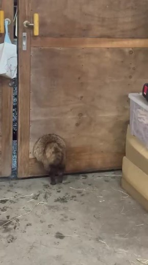 �� ����� �������: � ������ ������ ����� � ������� � ��� �������, ��� ��� ��������� �������� ������� � ���� ��� �����, ���� ��� ��� ������ �������