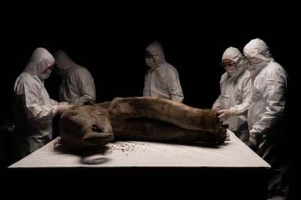 �������� ������� - ���� ����������, ����������� ��� ���������� ������� - ����� ������� ������� ���������