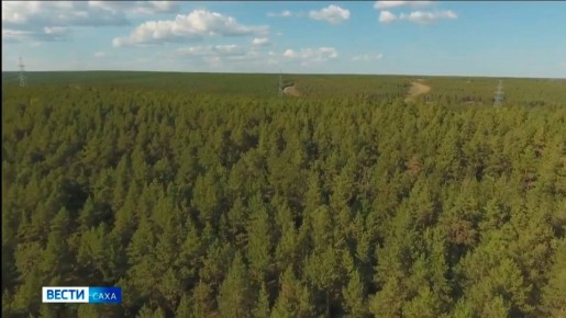 � ������ ���� �� �������������� ����� �� ��������� ����� ������������