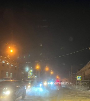 #����� 50 ��� ��� ����� ���, ������ � ������� ����