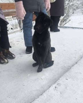 ��������. ���� ������. ������� - ���������� ��������� ��� ������ �� ��������� "����������� �1"