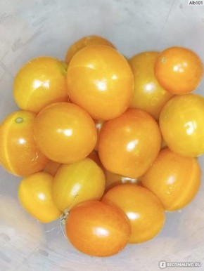 ������ �������� ������: ������� ����-���������� ��� ������� � �����������