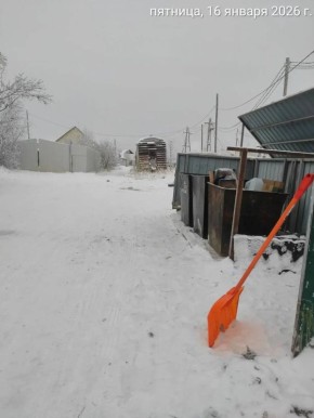 ���������� � ������ ������������� ��������� � ��������� ����������� ������ ������������ ������