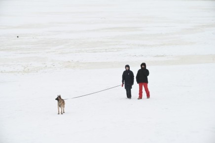 ����� � ������ ��������� ������