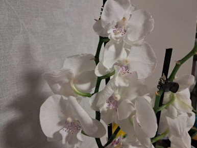 ��� ������� ��������� ��� ����� �������: ������� � ����������� �������