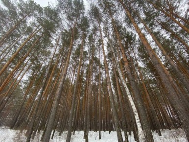 ������ ����, ������!. ������� � ������� ��� �������