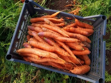 ��� ��������� ��������� �������: ������� ��������� ������