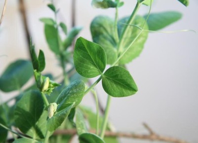 ������� ������: ��� ��������� ����� ��� ������� ������