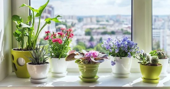 ��������� ��������: ��� ��������� ������� ���� �����