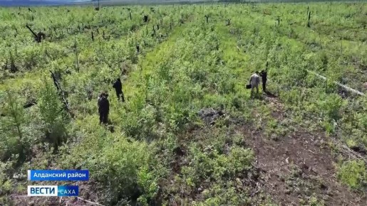 ��������������� ������� �������� ������������� ��������� ����