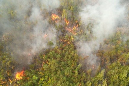 � ������ ���� ��������-����������� ��� ������ ����� ������� �� ����