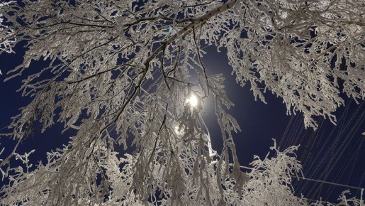 ������� ������ � ������� �� 21 ������