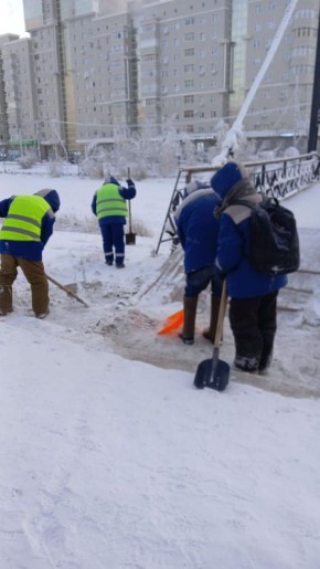 ������ ������������� ��������� �� ������ ������������ ����������