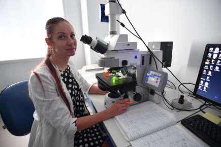 ���������� � ������: ����� ������� ��� �� ������ ������ � �������