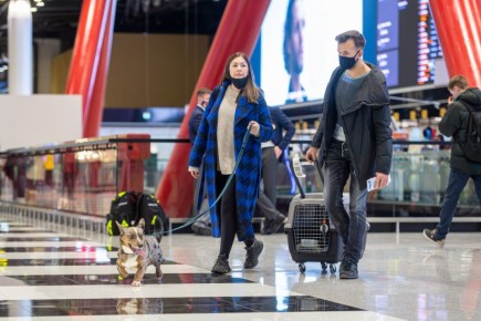 �� ������ ���������� ������� 85 ����� � �����