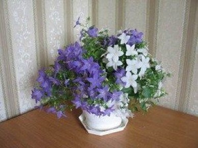 ��������� ������ � �������: ���������� ������ � ����� ����