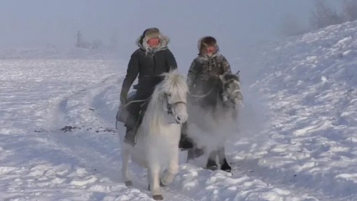 50 ���������� �� ������ ��������� �� ������ ���� �������� "������� ������ � ����� �����������"