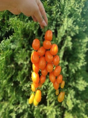 ����� ����� ������������: ��������� ������ ����������� � �����