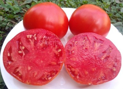 ������������� ������ ��� �������: ����� ������� �����