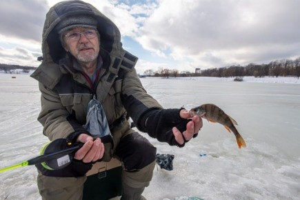 � ������ ��������� ����� ������ ���� ��� �������� ������������� ������� ������