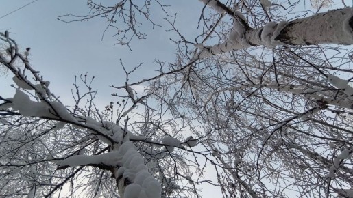 ������� ������ � ������� �� 24 ������