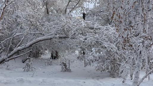 Прогноз погоды в Якутске на 25 января