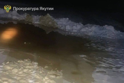 ������������� �������� �� ��� ������ �������