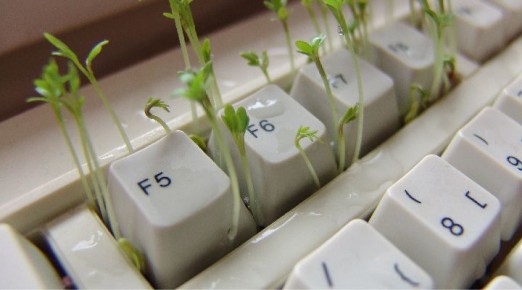 ��� ���������� �������� ���������� � �������� ��������