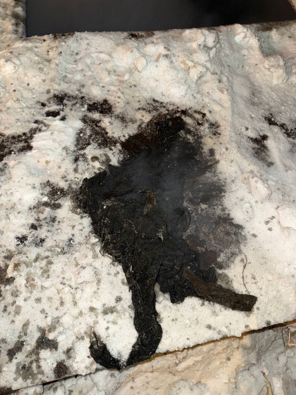 «МУП «Жилкомсервис» ГО «город Якутск» продолжает работу по ликвидации последствий засоров на канализационных сетях и колодцах, а также отогрев объектов, обслуживаемых на территории городского округа «город Якутск» «МУП «Жилкомсервис» ГО «город Якутск» продолжает работу по ликвидации последствий засоров на канализационных сетях и колодцах, а также отогрев объектов, обслуживаемых на территории городского округа «город Якутск»