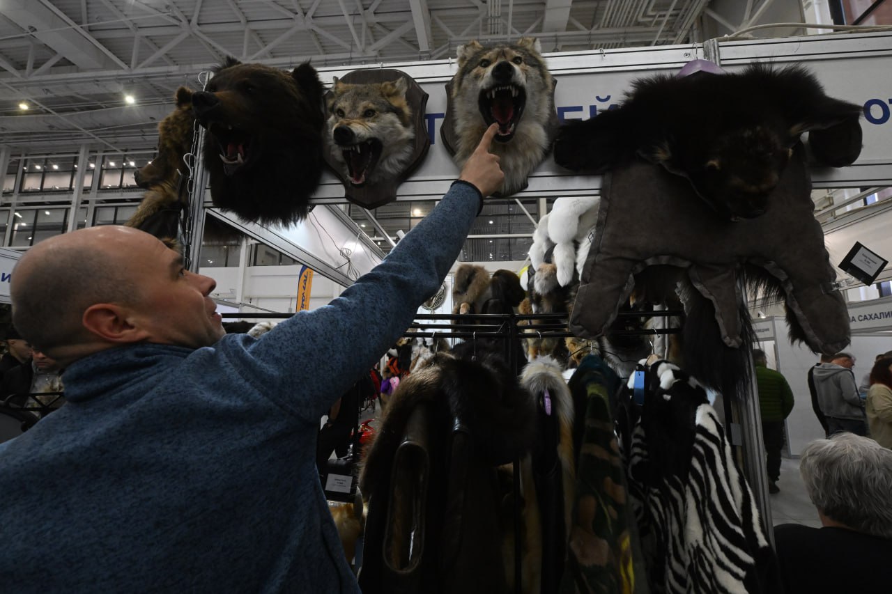 Охота закончилась: якутян просят срочно вернуть разрешения, иначе — запрет на год