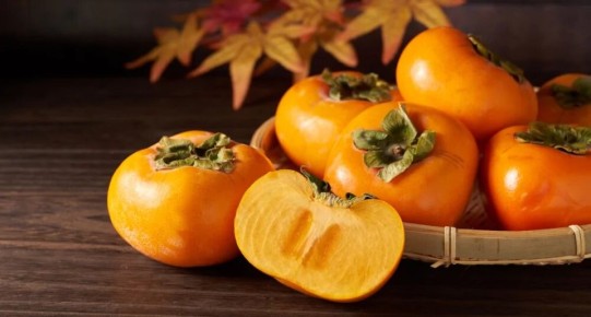 �����: ������������ ����� �����, ������ � ������� ������������