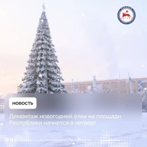 Завтра, 29 января, начнутся работы по демонтажу главной новогодней ёлки на центральной площади столицы республики