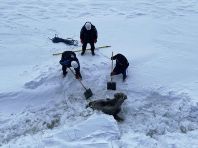 ��������� ����� - ������� �������� �������� ��������