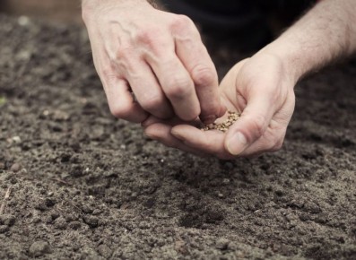 ������ ������ �����: ������ ��� ������� ���� ��� ������ ������