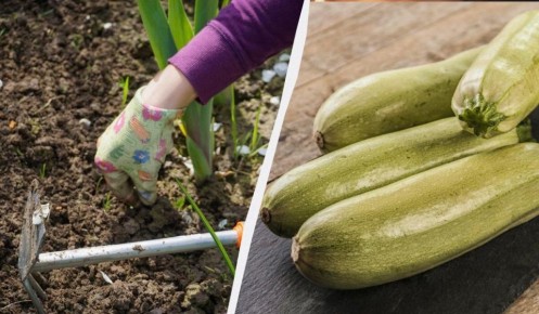 ��� ������� ������� ��������� ��� �������� �� ����� ������� � �������� ������� �����