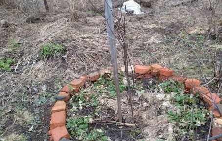 ������ �� �������� ������ � ����� ����� �� ����������� �������� � ��� ��� ���������