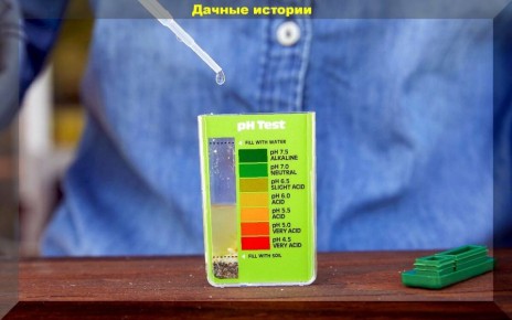 ��� ������ ���������� ����������� ����� ��� ��������: 3 ������� � ������� ������ ��� ����